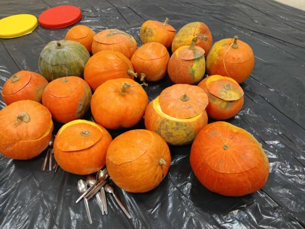 10000277794eb0b4c61029124033